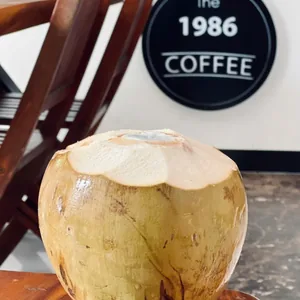 Coconut