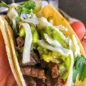 Pork carnitas tacos