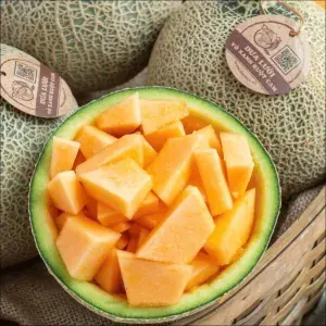 Rock melon