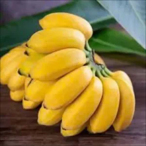 Bananas