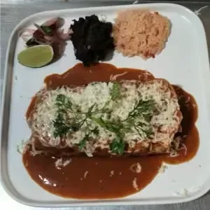 Enchilada with grilled chicken