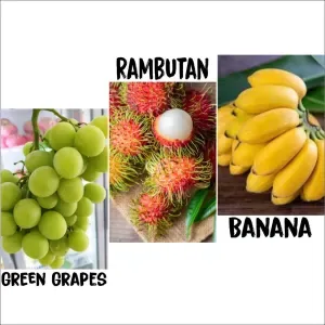 Small Vietnamese fruit combo
