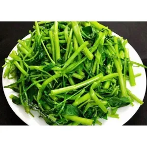 Boiled water spinach