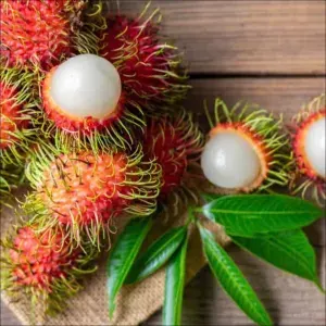 Rambutan