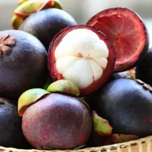 Mangosteen