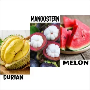 Small Vietnamese fruit combo