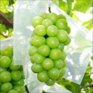 Green grapes